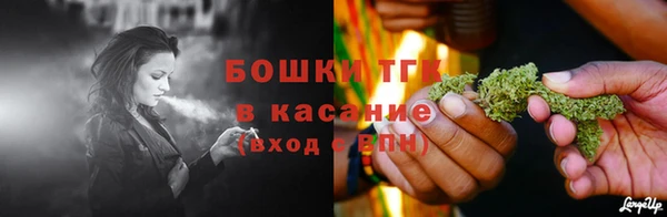 мет Алексин
