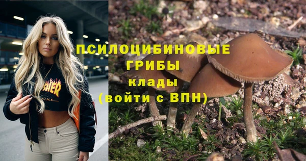 мет Алзамай